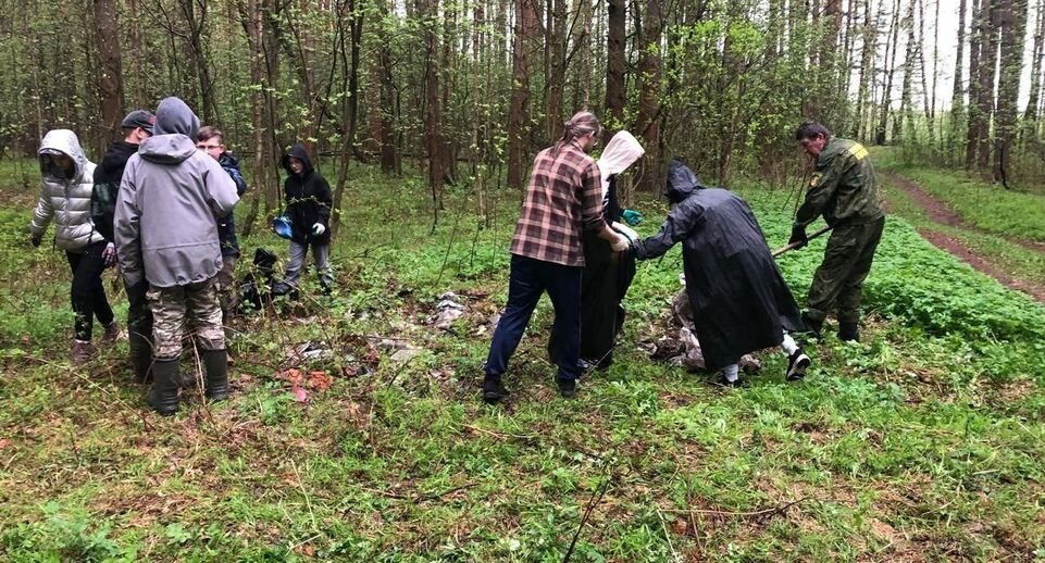    Комитет лесного хозяйства хозяйства Московской области