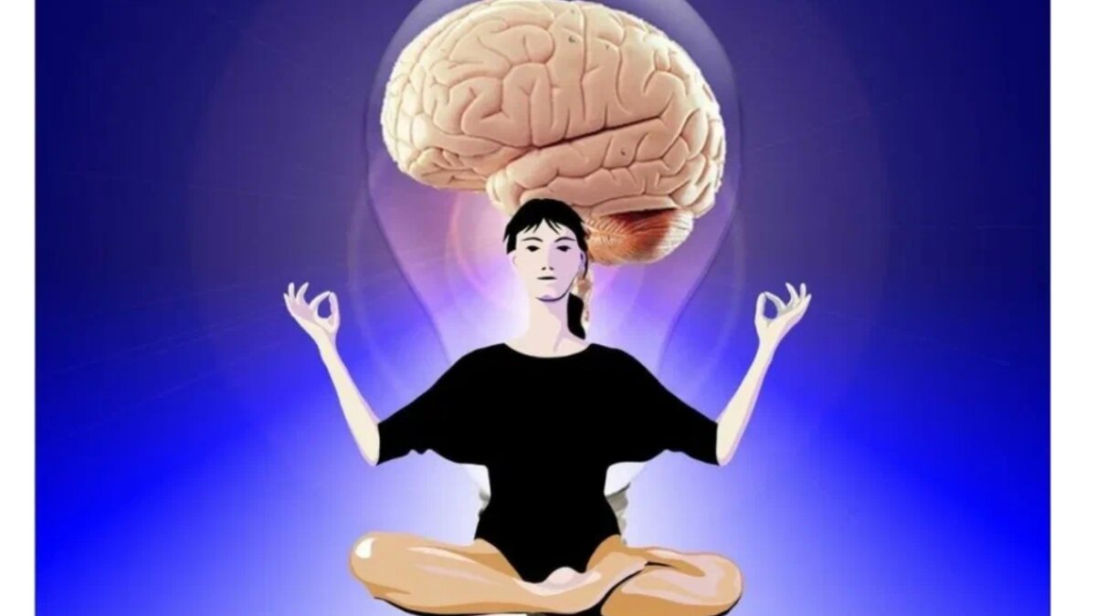 Фото из интернета.