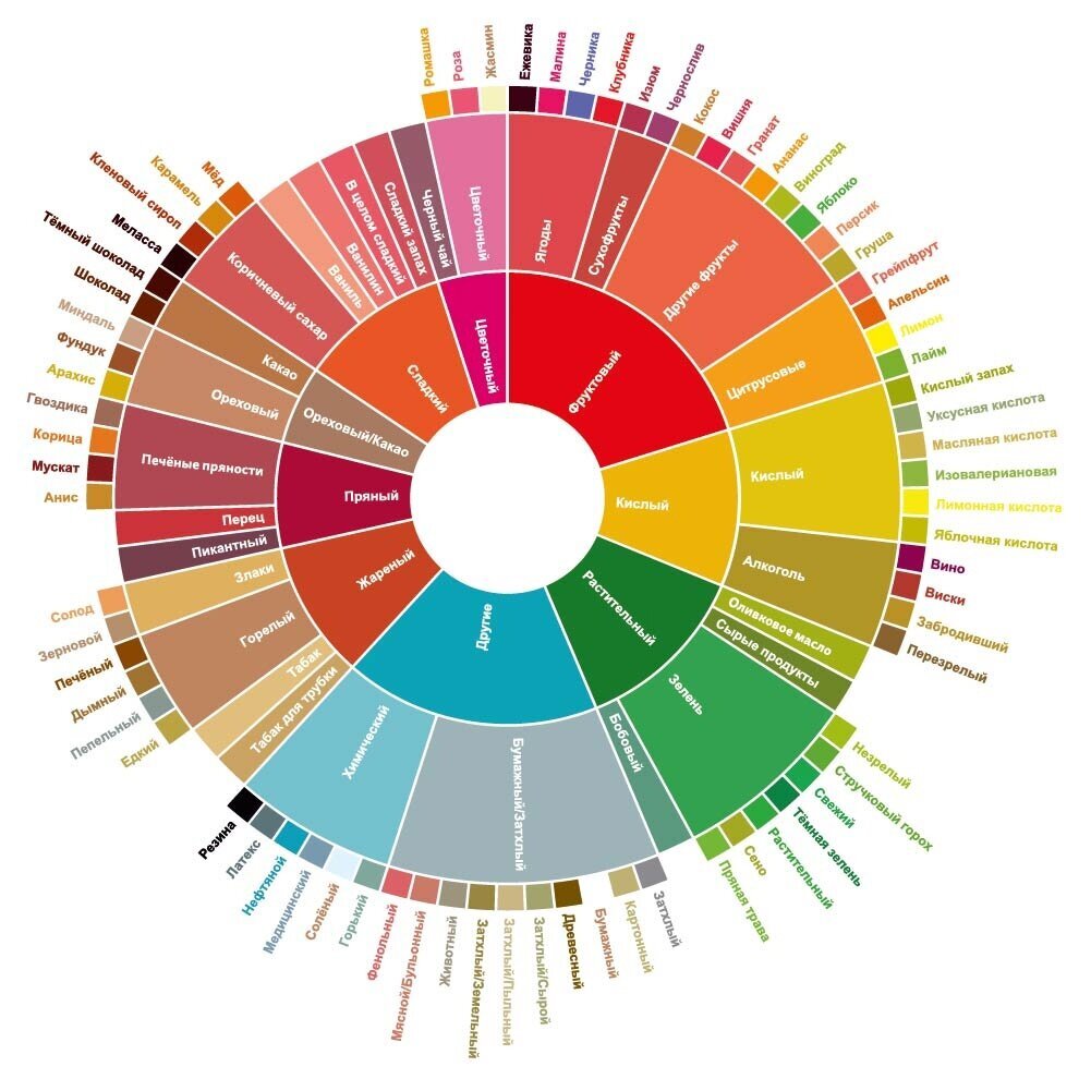 Стандартное кофейное колесо вкусов для проведения дегустаций