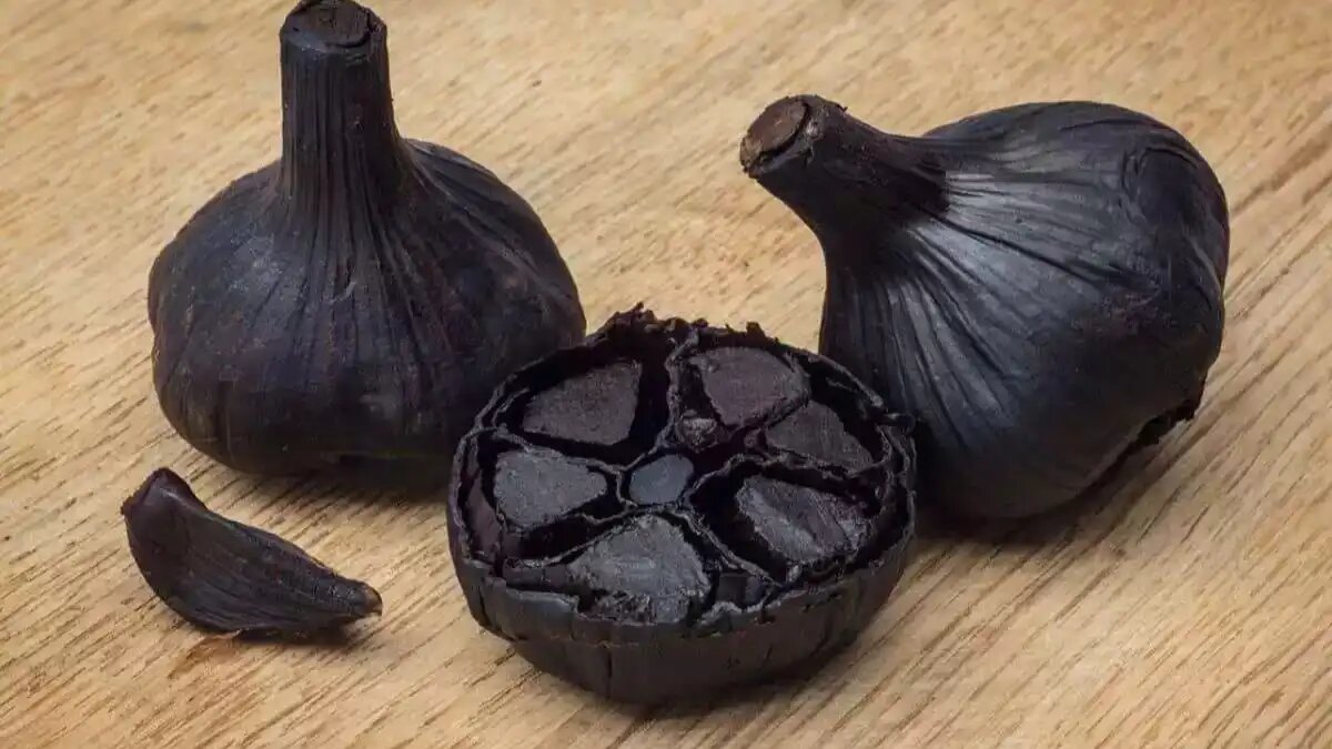 Фото:Вадим Кетрарь / AgroExpert.md Экс-министр сельского хозяйства Молдовы анонсировал продажи черного чеснока