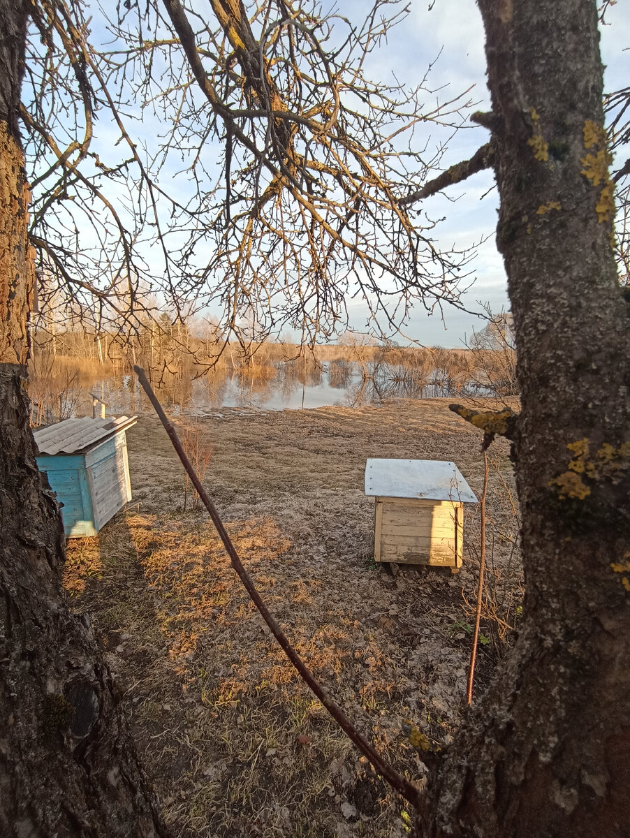 Разлив весной