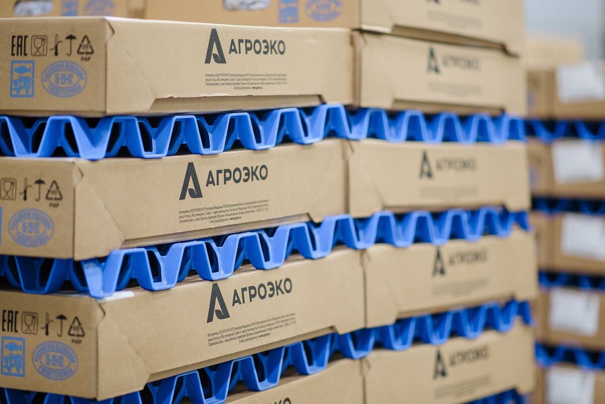    Воронежская «АГРОЭКО» нарастила экспорт на 413%