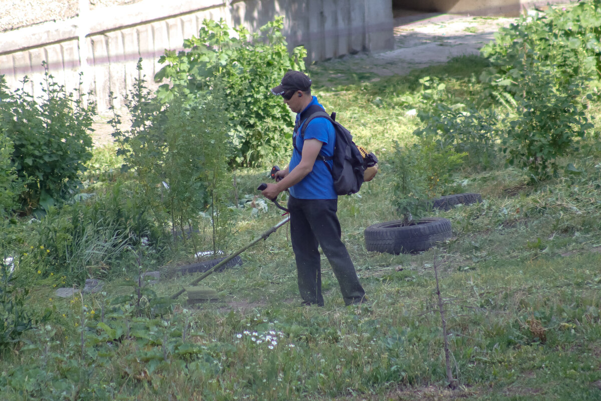 Косить начинают с 7 утра. Elena Mayorova/Global Look Press 