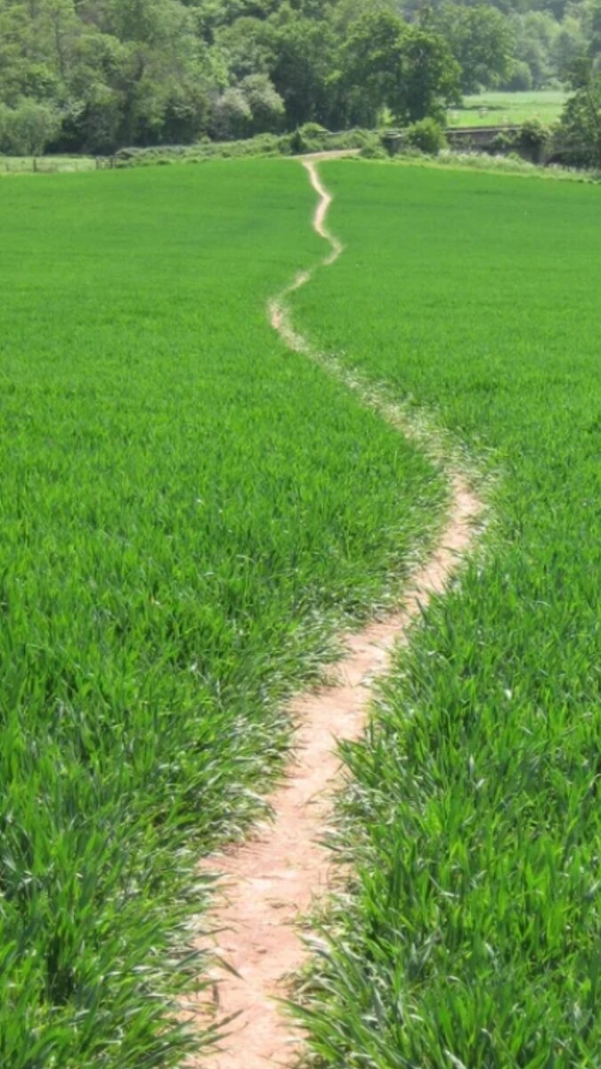 Фото из интернета.