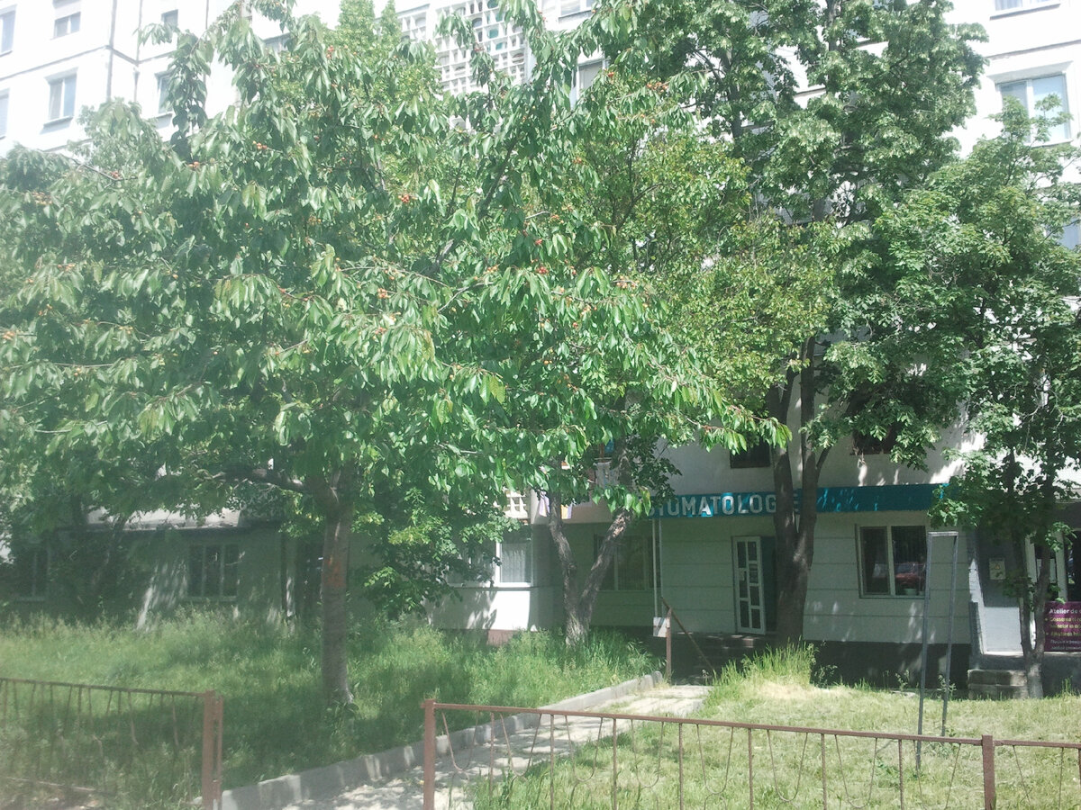 Фото автора