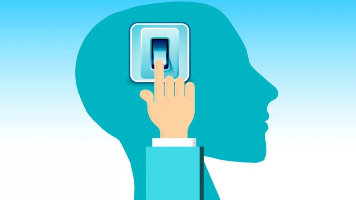 Фото из интернета.