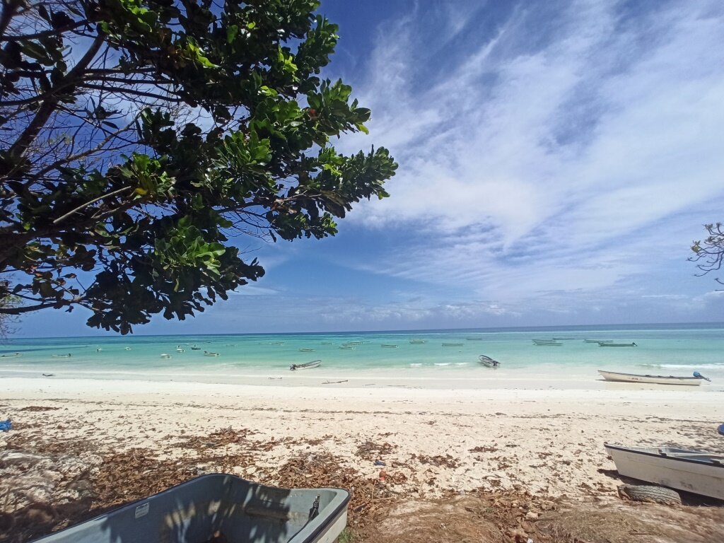 Кизимкази (Kizimkazi)