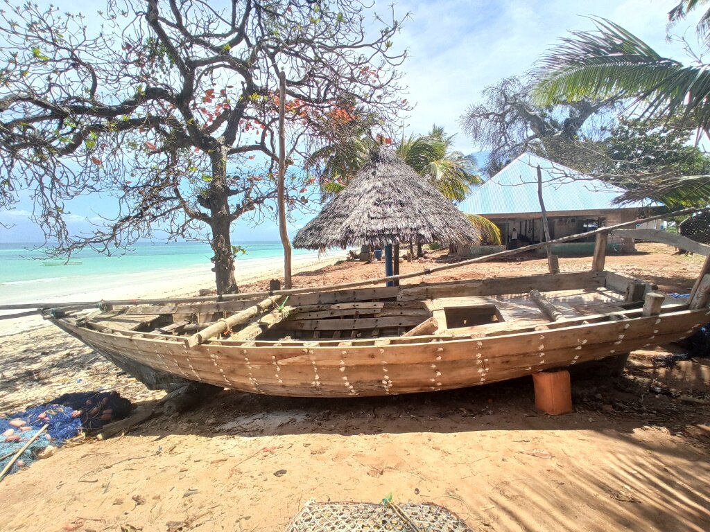 Кизимкази (Kizimkazi)