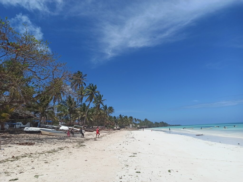 Кизимкази (Kizimkazi)