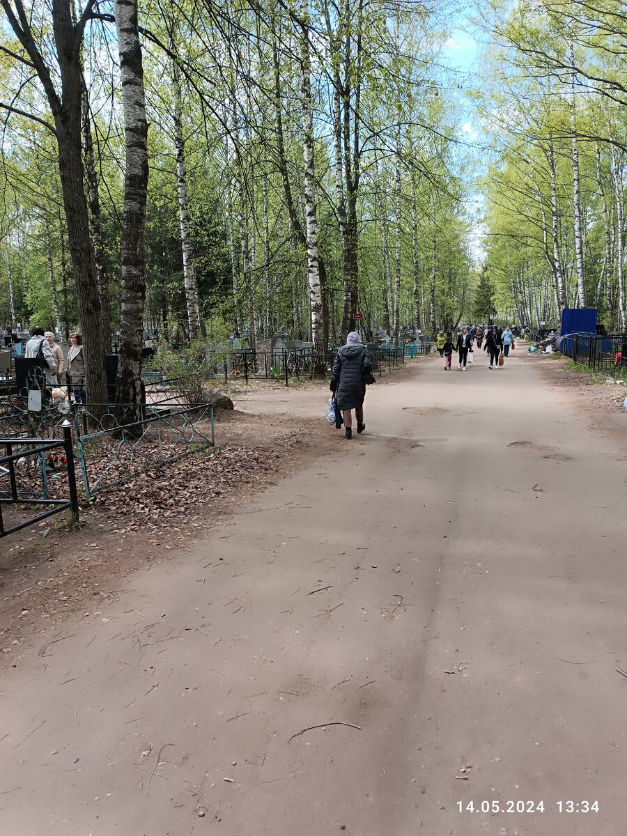 Фото автора, кладбище Ярославское.