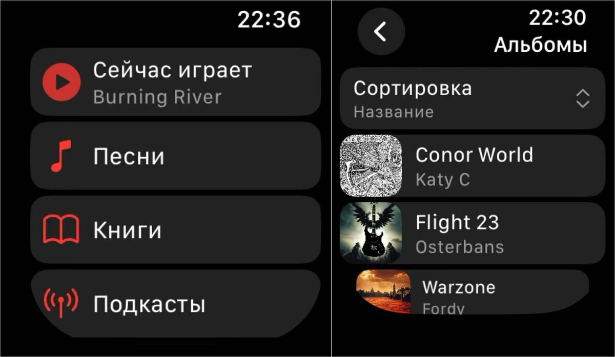    Слушать музыку можно прямо на Apple Watch