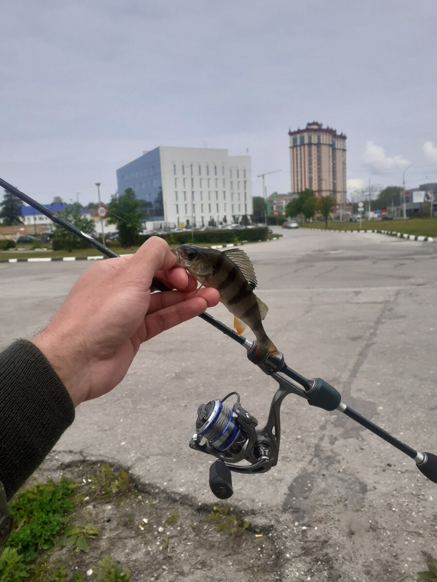 Рязанский областной суд