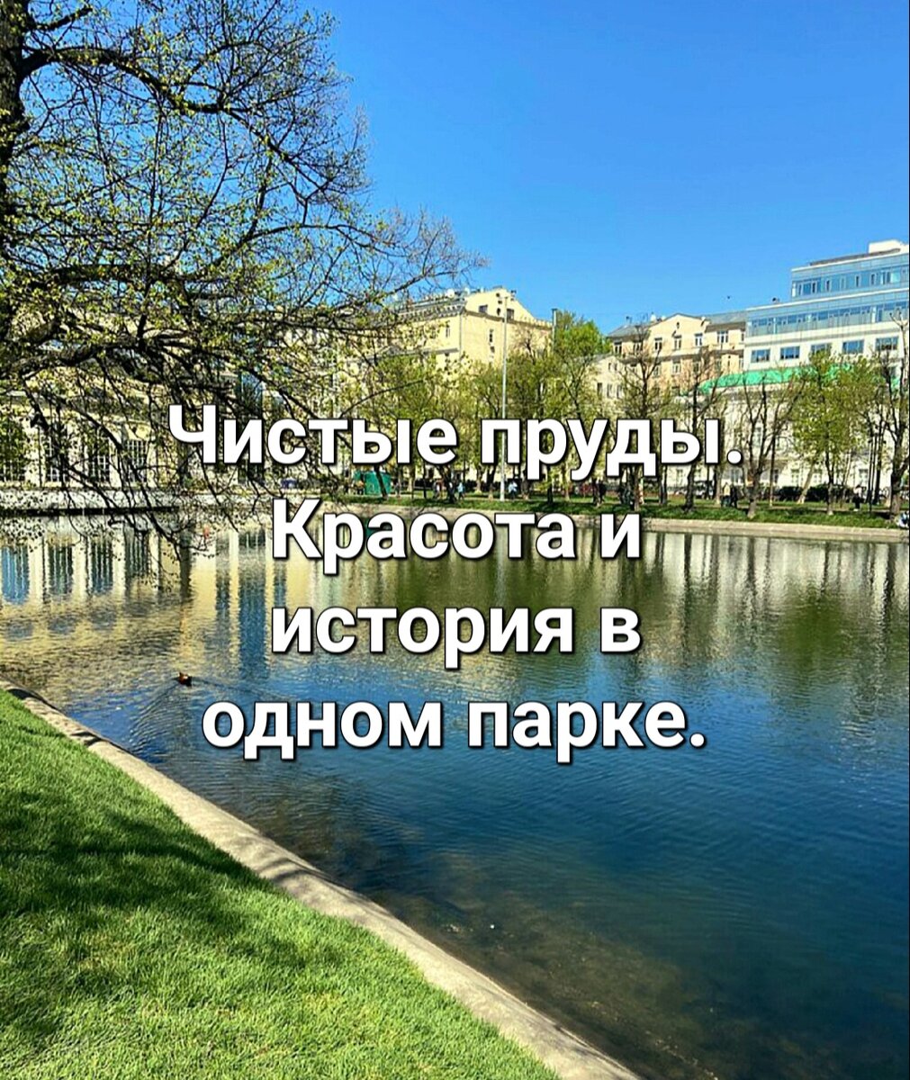 Чистые пруды- красота и история в одном парке. | Ирина Абашкина🍀Кабинет44  | Дзен