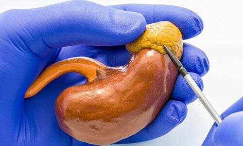 Изменения в строении надпочечников могут указывать на возможные нарушения их функции