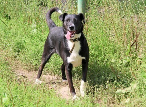 Привет! Какая же я была в молодости симпатяшка