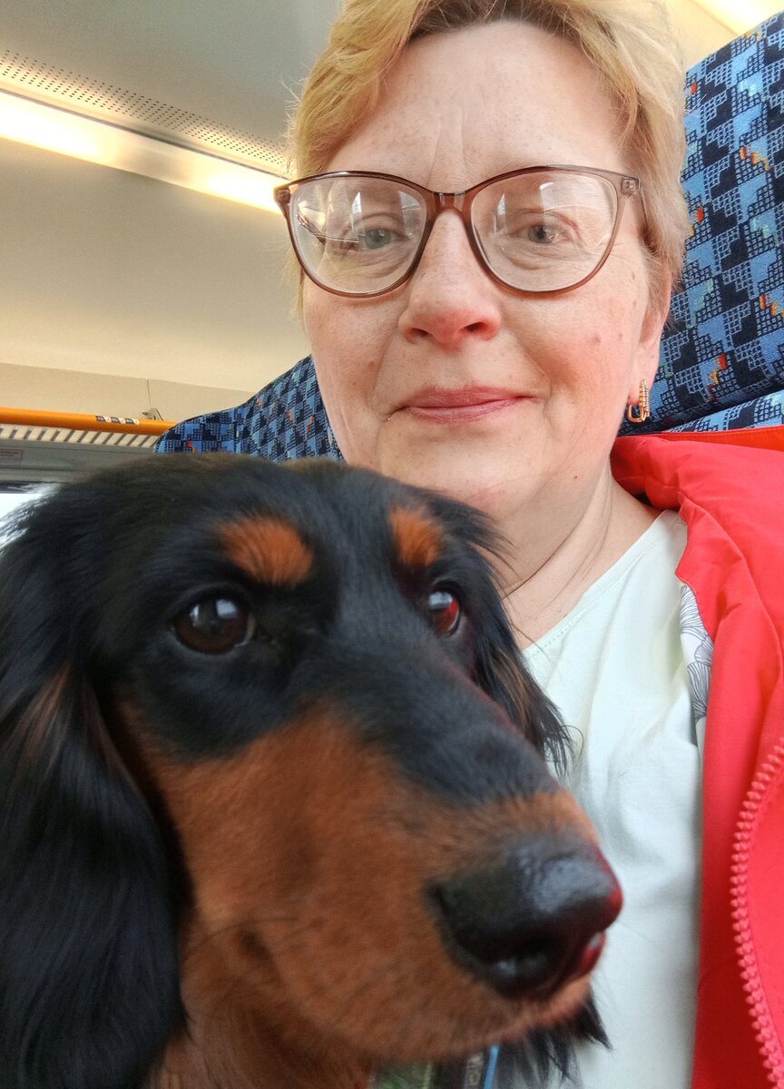 В электричке.