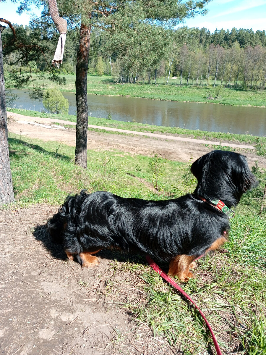 Москва-река.