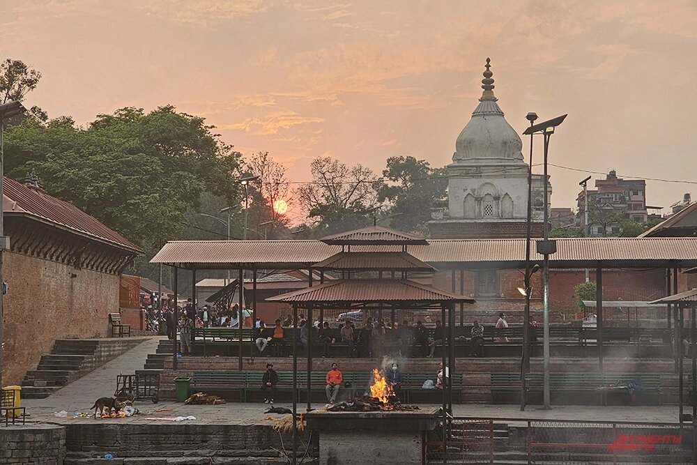    Фото:  АиФ/ Георгий Зотов