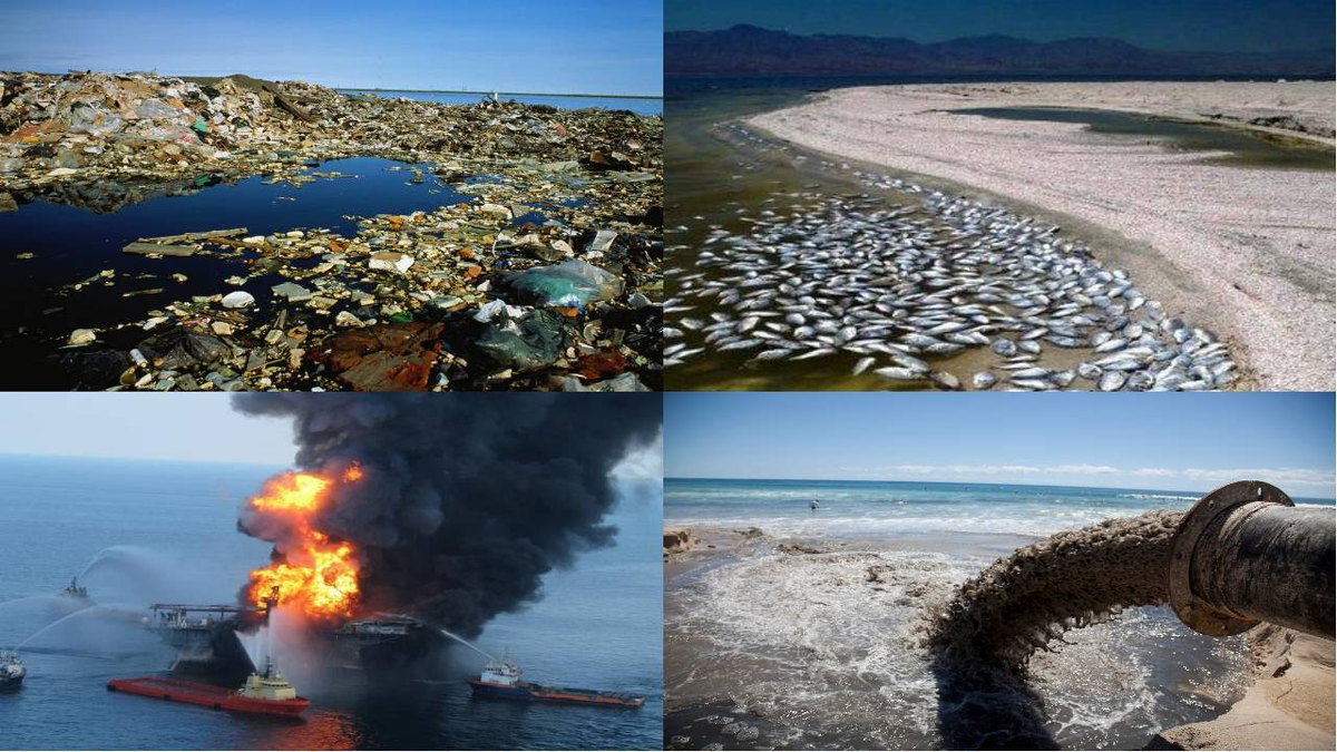 Современное экологическое состояние среды обитания человека. Фото из открытых источников