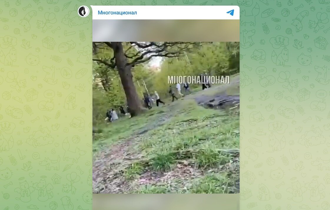 Массовая драка мигрантов. Telegram-канал «Многонационал»