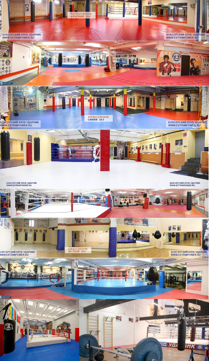 Сеть залов БК Ударник - Москва