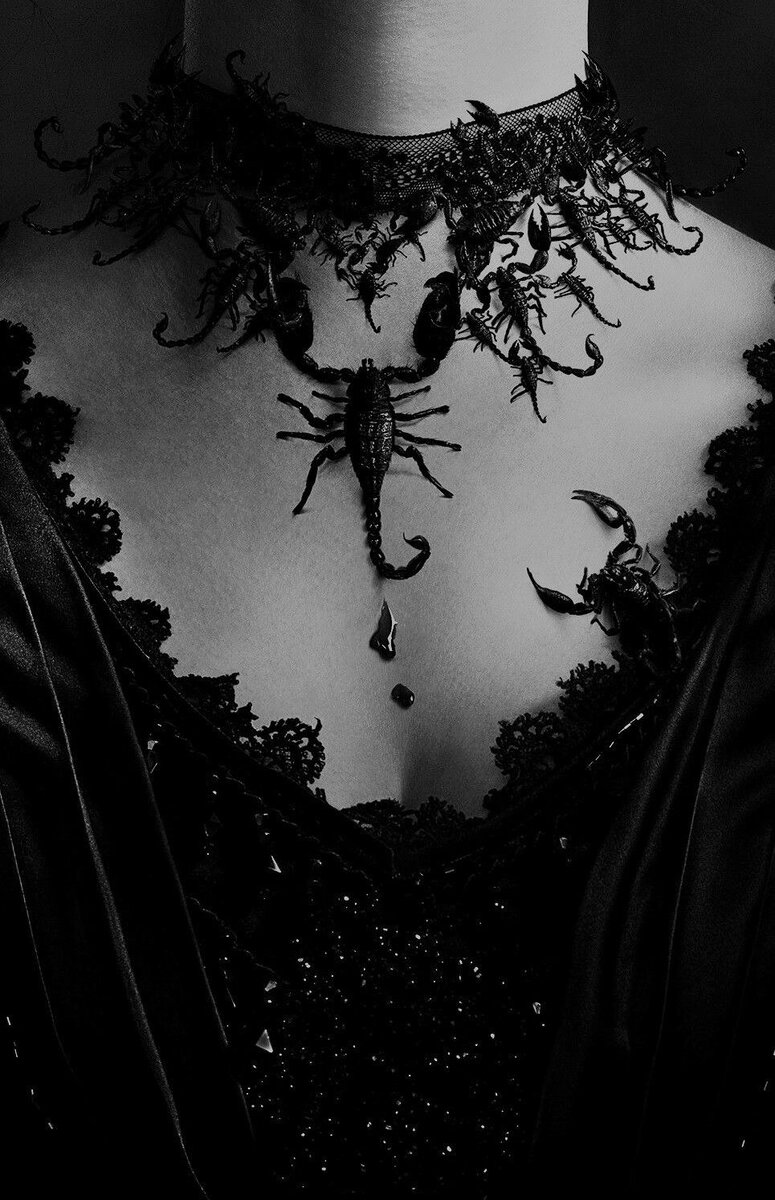 Изображение взято из открытых источников интернета. 