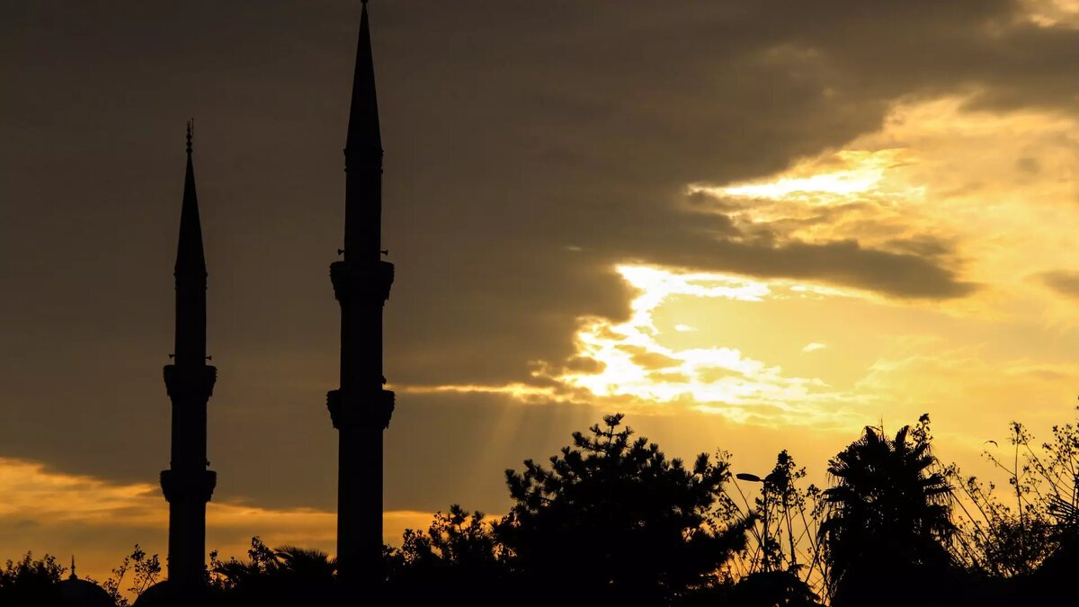     Источник: Photo by form PxHere