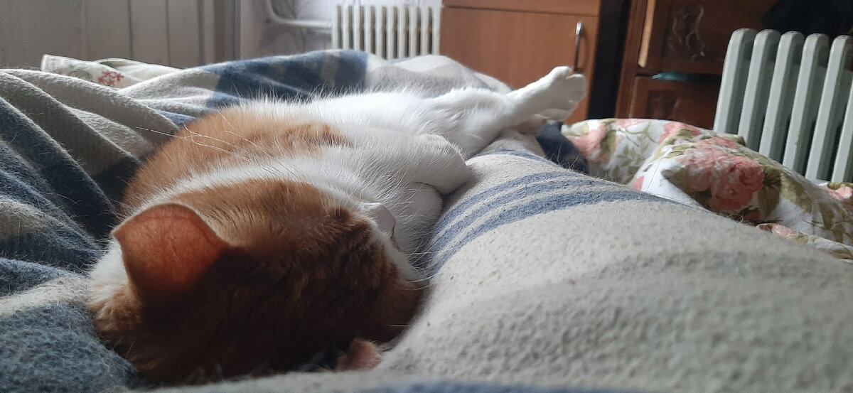 Каждое утро