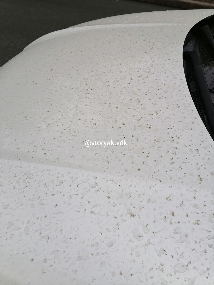     Источник: vtoryak.vdk