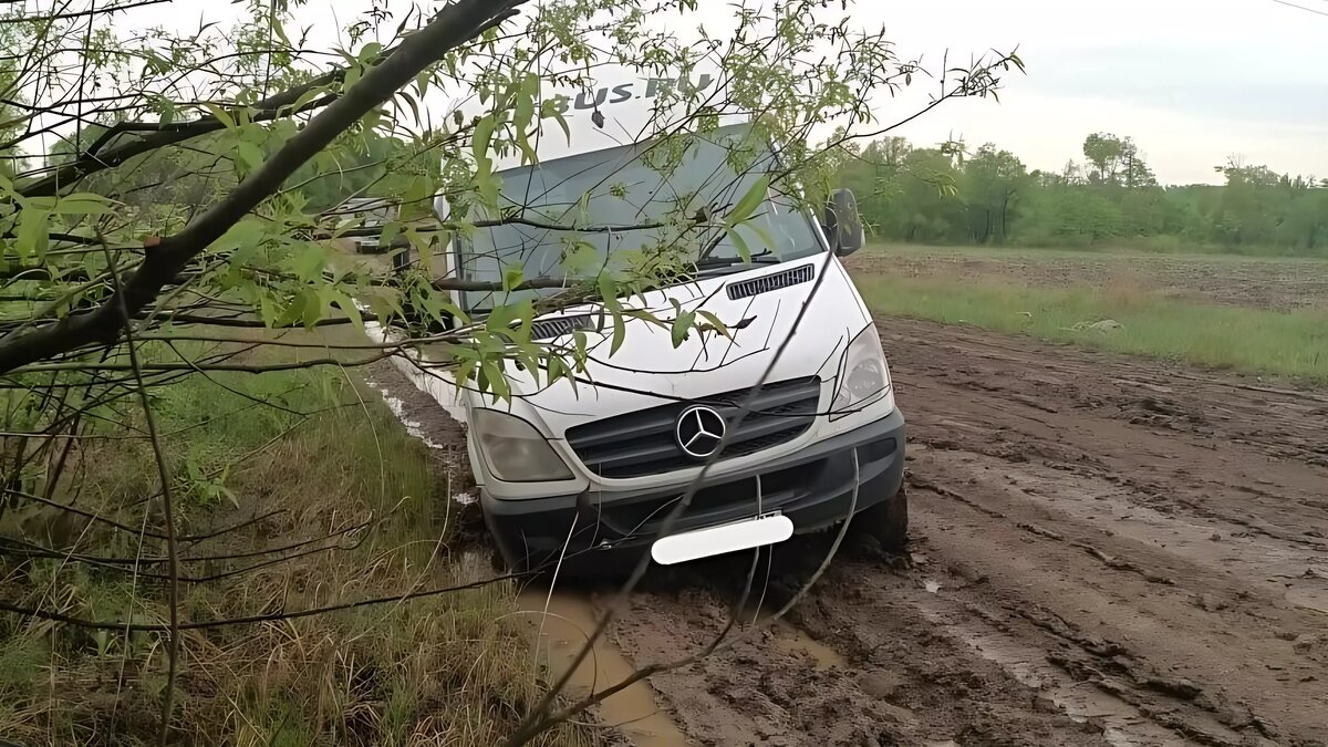     Источник: mark4usur