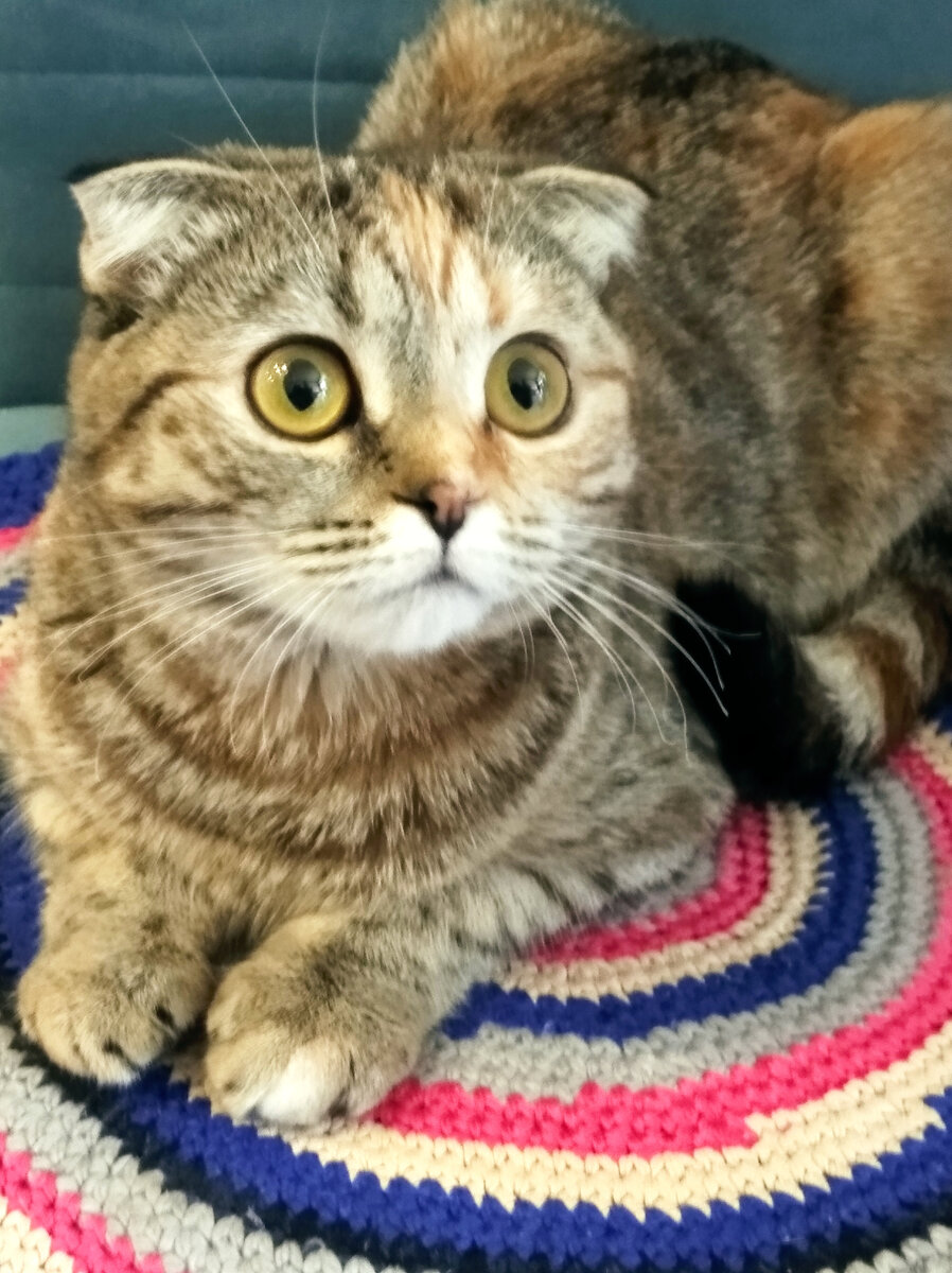 Маруся, шкода и хулиганка 