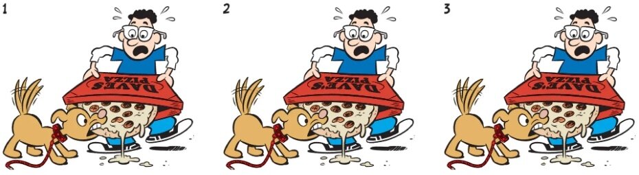 Иллюстрации созданы автором