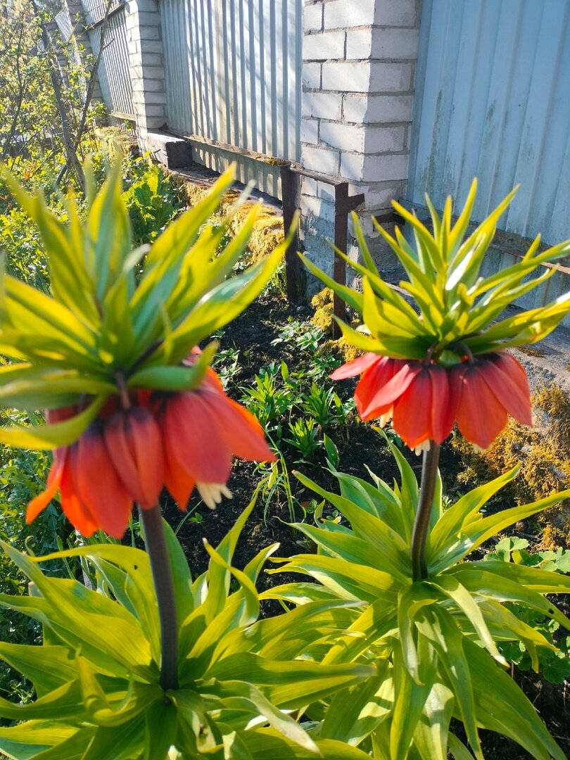 Близко не подходи к моему сыну и внукам, ты грязная, — кричала свекровь ...
