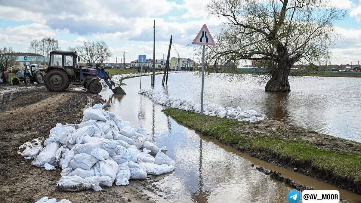     Автор: Александр Моор Источник: Телеграм