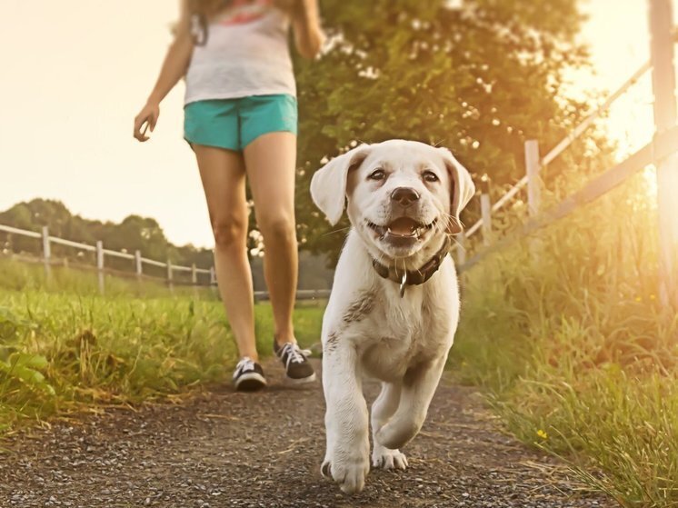     Фото: klkfavorit.ru