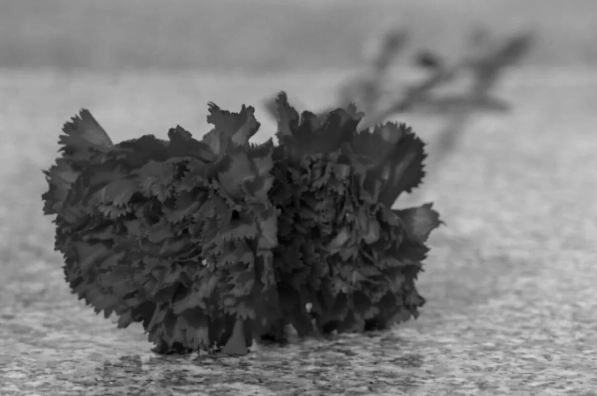    В Надыме школьники начнут создавать Аллею памяти