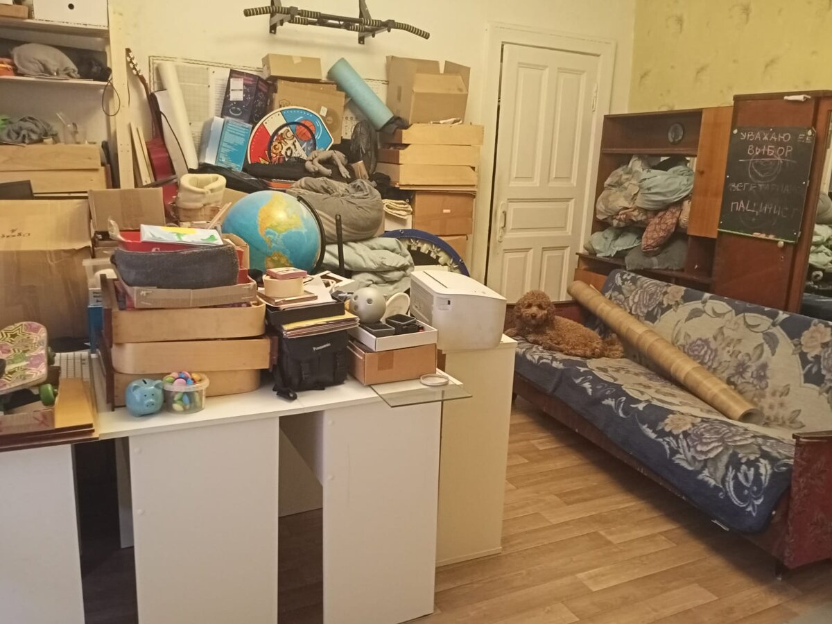 Найди собаку.