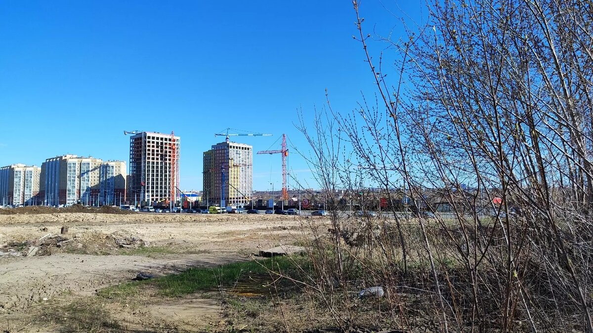     Автор: Юлия Истомина Источник: Город55