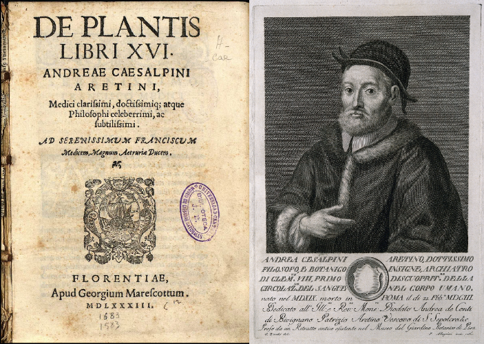  «De plantis libri XVI» и ее автор Андреа Чезальпино