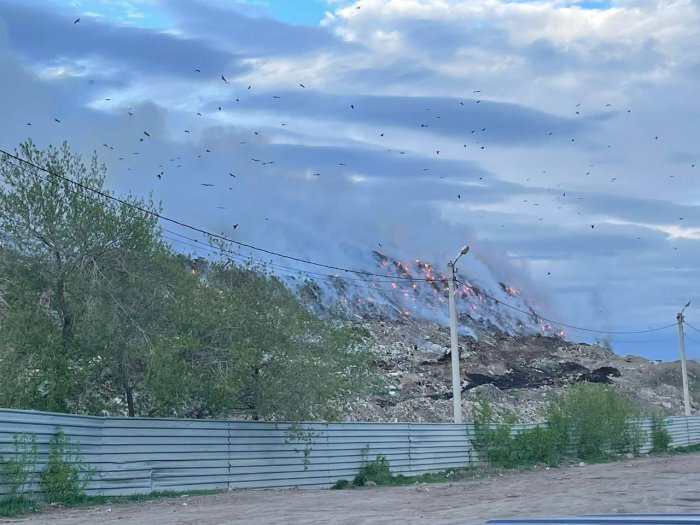 Фото: Прокуратура Новосибирской области