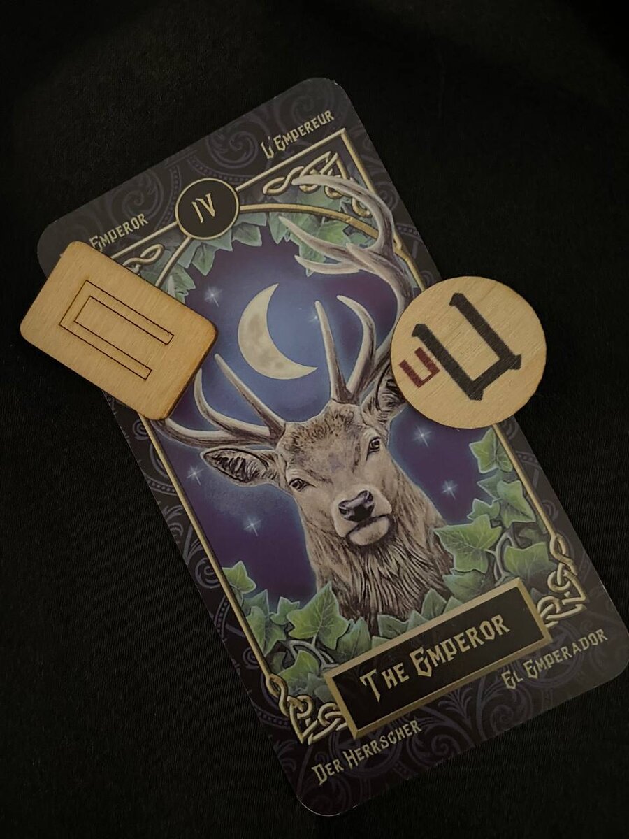 Император — Самообладание. Мирская власть, выполнение, уверенность, богатство, стабильность, власть, упрямство, отец, брат, муж, мужское влияние, прямое давление,
коммуникация, убеждение, сила, достижение целей.
Перевернутое значение: незрелость, отсутствие силы, отказ сдерживать себя.
Таро Фамильяров.
