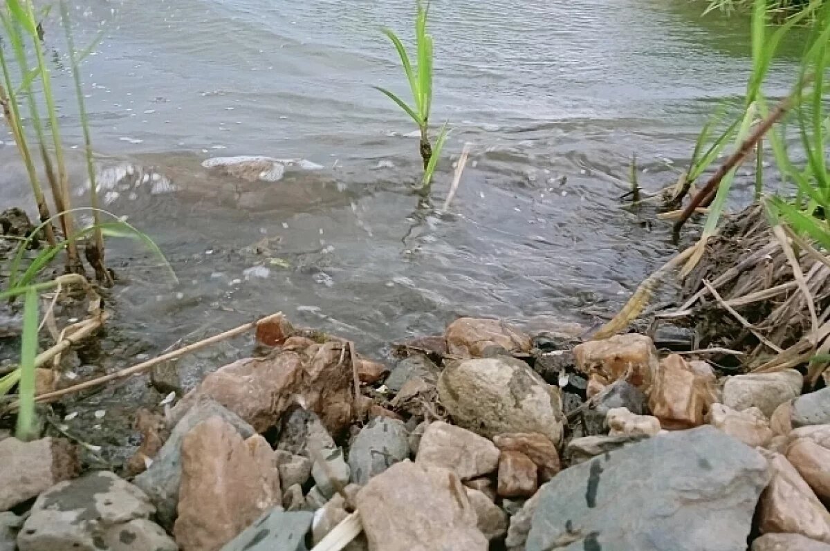    В Нижневартовске уровень воды в Оби составляет 870 сантиметров