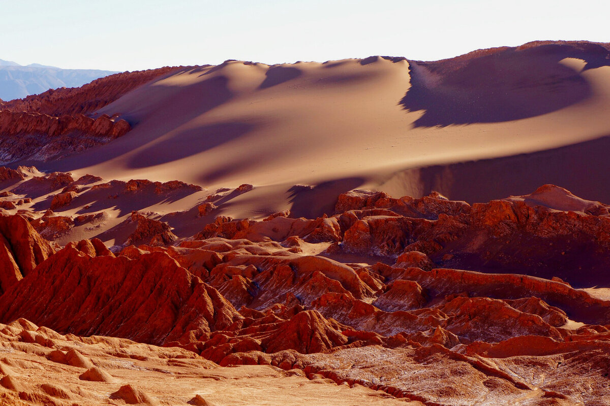 На непроходимых участках пустыни Национальное управление по аэронавтике и исследованию космического пространства США испытывает марсоходы. Фото: Bailey Hall / Unsplash