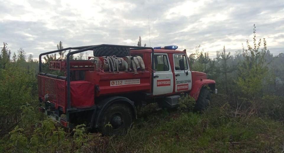    Комитет лесного хозяйства хозяйства Московской области