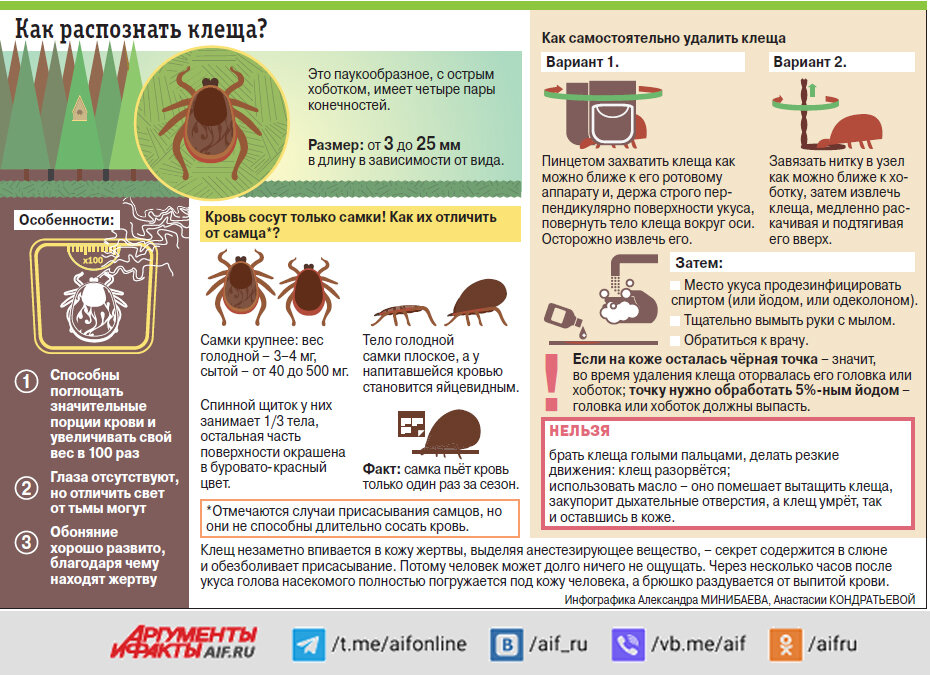    Нажмите для увеличения. Фото: istockphoto.com