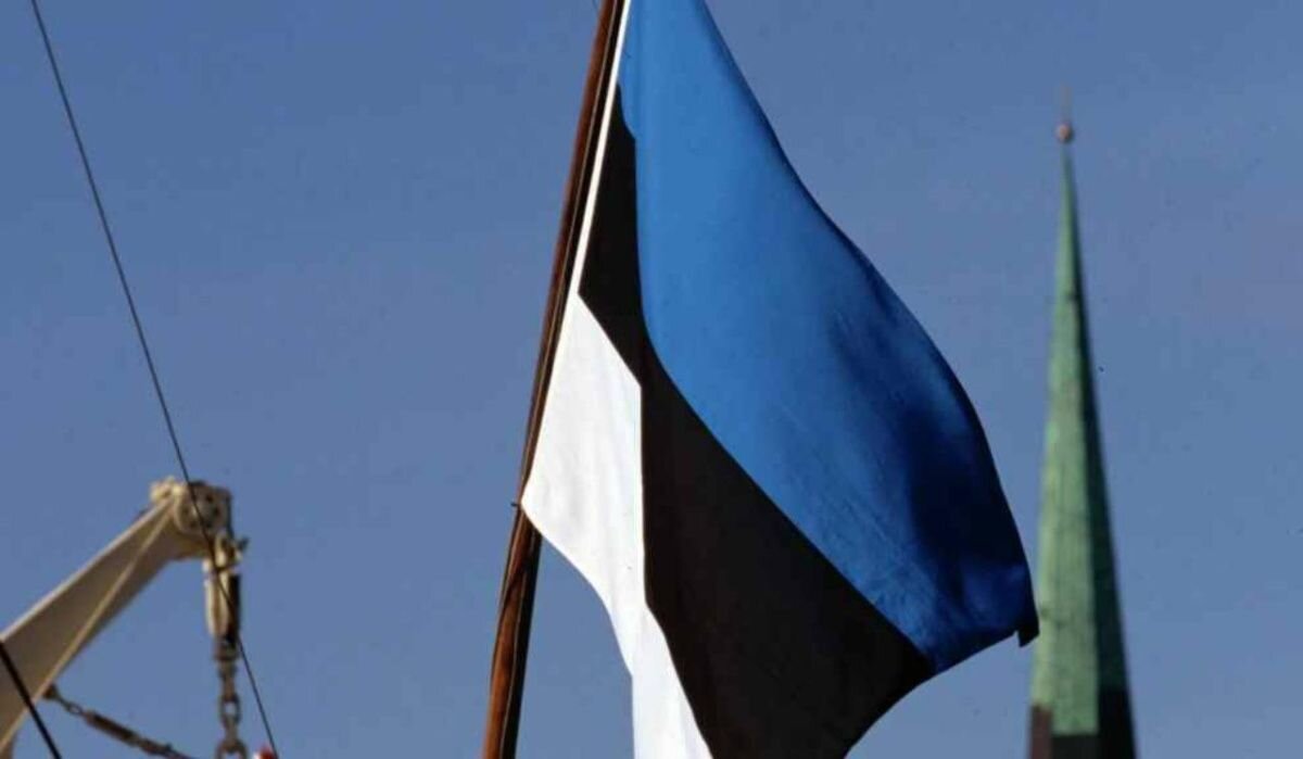     Флаг Эстонии. Источник: ria.ru Автор фото: Владимир Федоренко