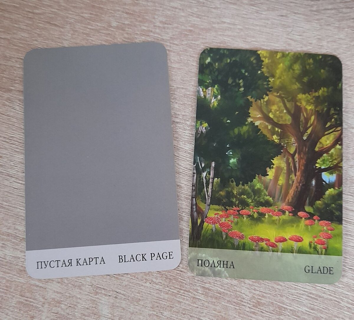 фото  автора