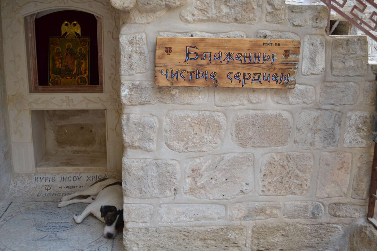 Собака спит у дверей православного монастыря (пригород Иерусалима)