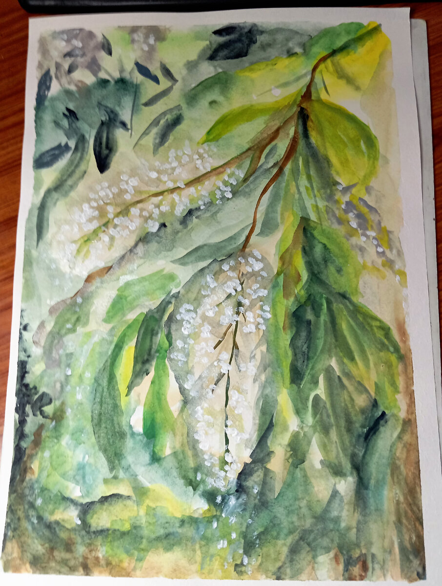 Ветка черемухи акварель, бумага А3.