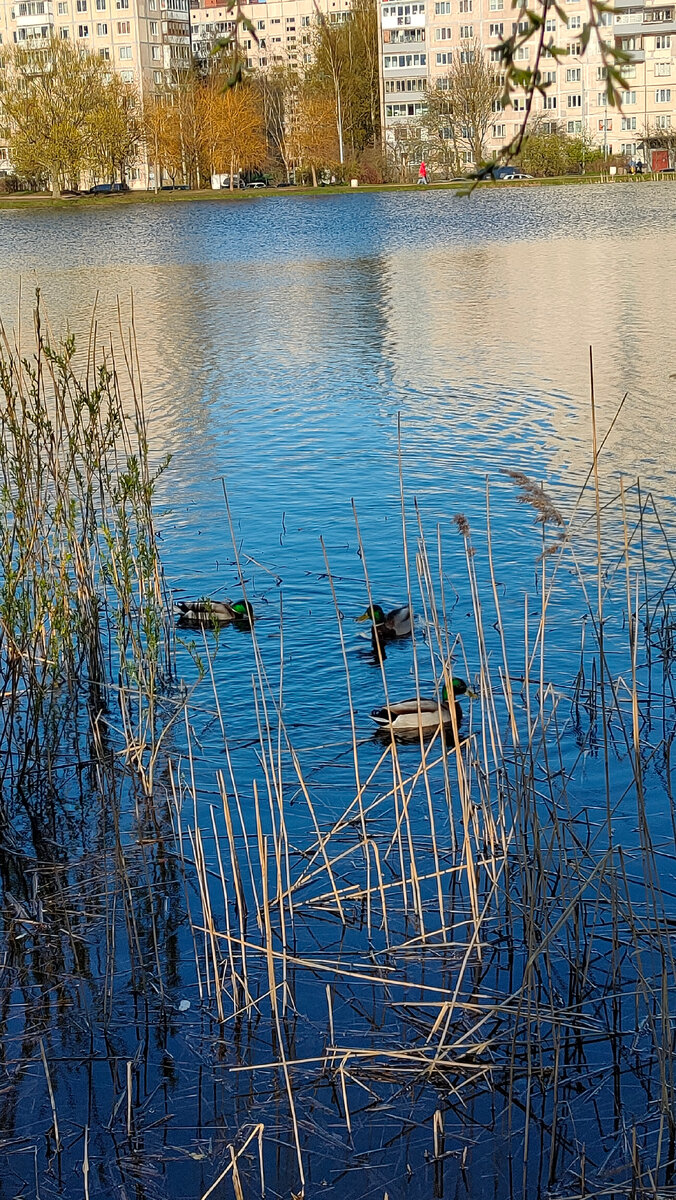 Фото автора 